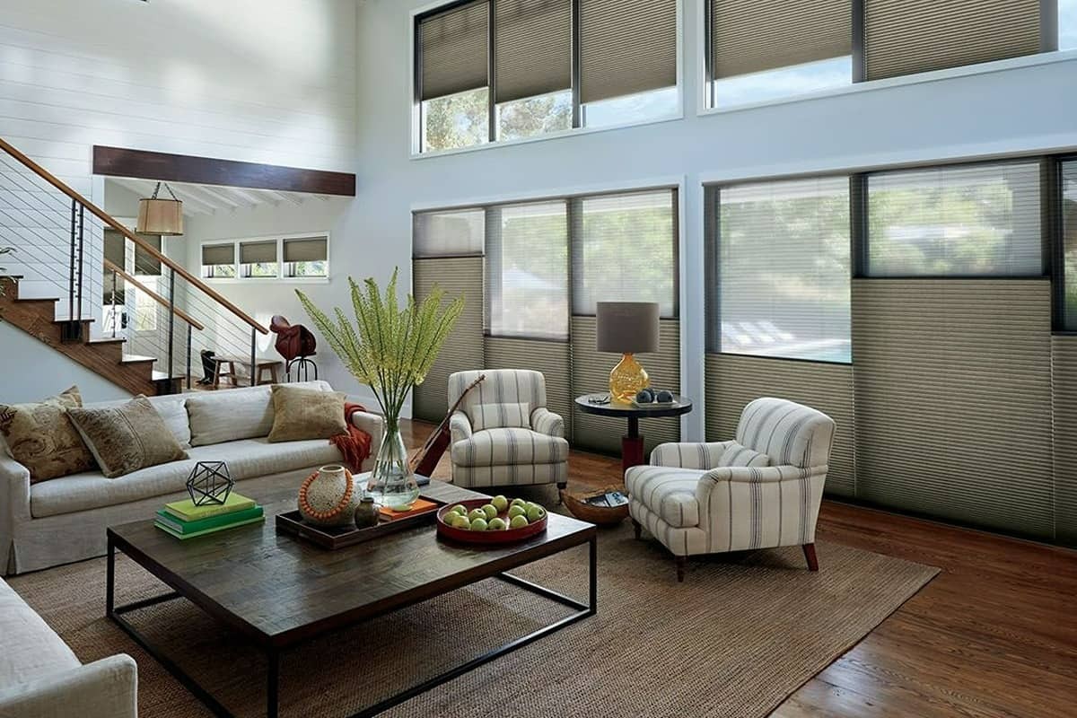 Image of Duette® Honeycomb Shades in a living room